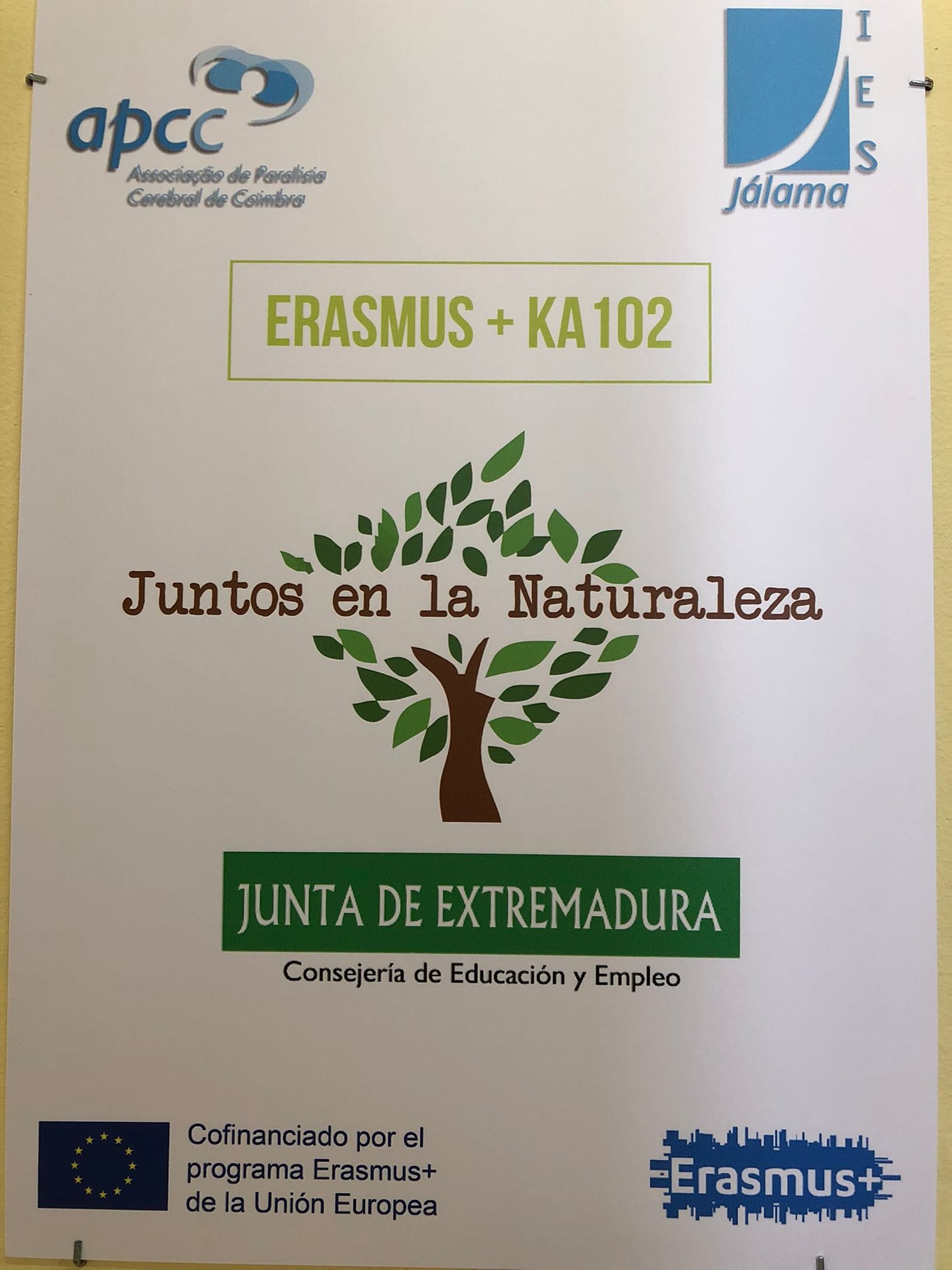 Erasmus FP